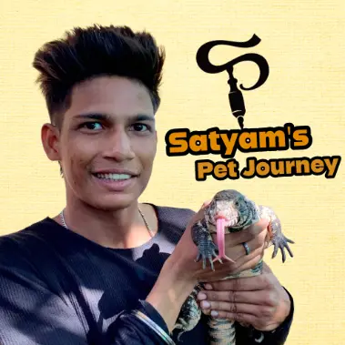 Satyam_s_pet_journey